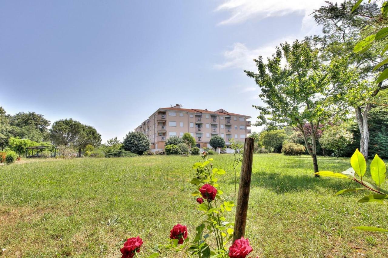 Guest house Branka - Monterol